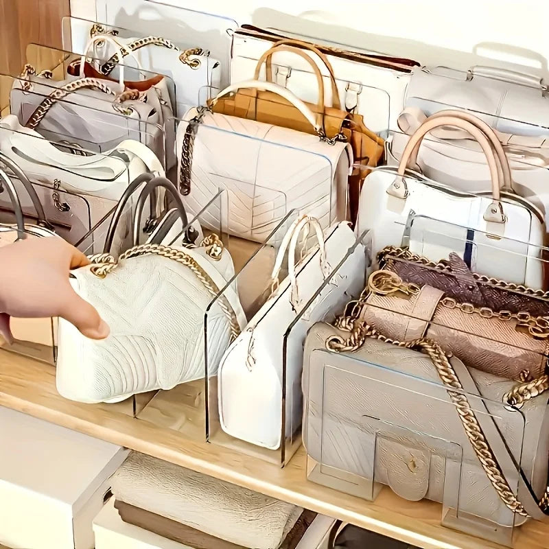 Transparent Bag & Accessories Organizer with Compartments