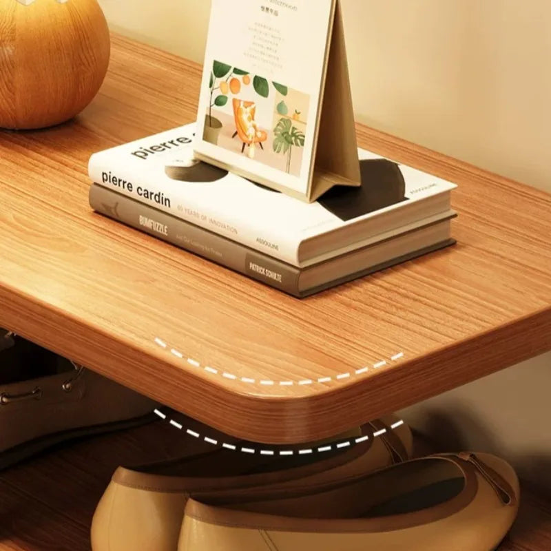 Luxury Minimalist Narrow Shoe Rack Organizer